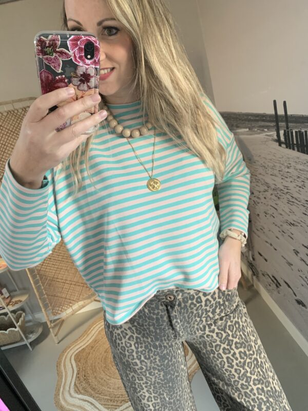 Streep Longsleeve - Blauw/Licht roze