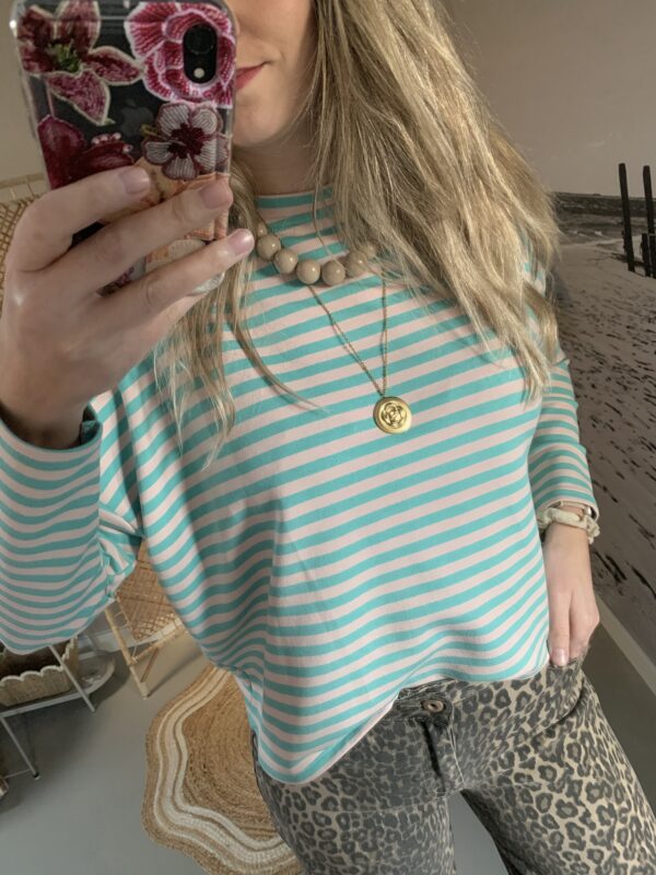 Streep Longsleeve - Blauw/Licht roze