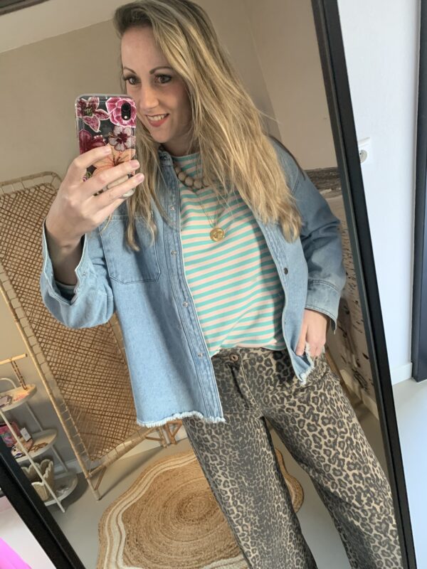 Streep Longsleeve - Blauw/Licht roze