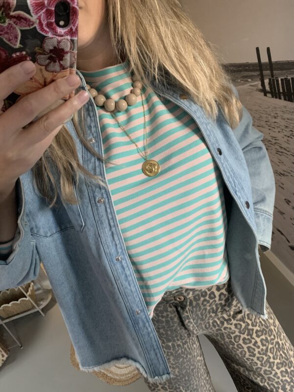 Streep Longsleeve - Blauw/Licht roze