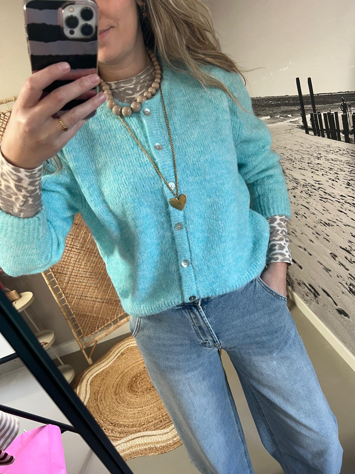 Cardigan/Vest Azzurro - Lichtblauw/IJsblauw - Afbeelding 8