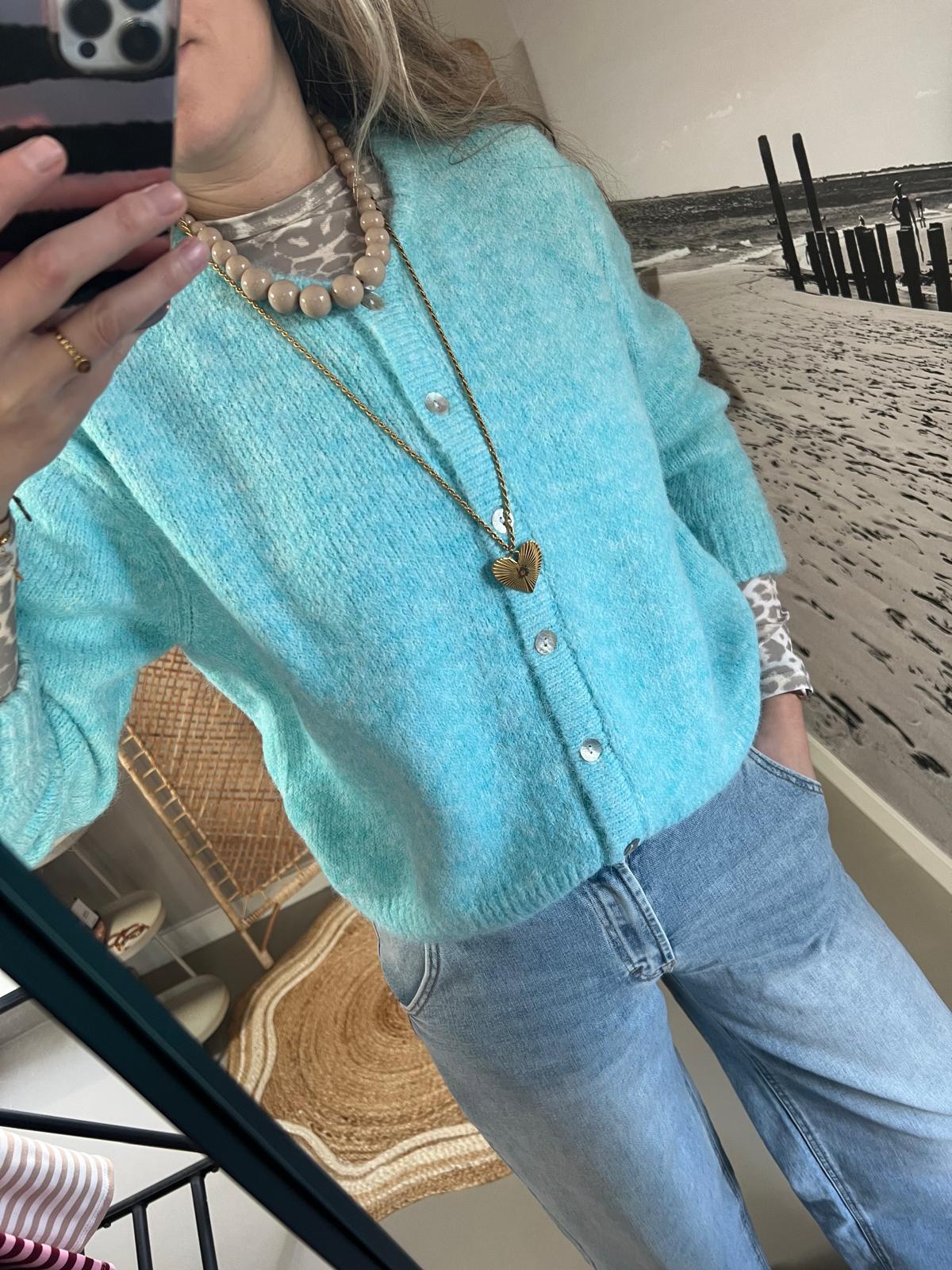 Cardigan/Vest Azzurro - Lichtblauw/IJsblauw - Afbeelding 2