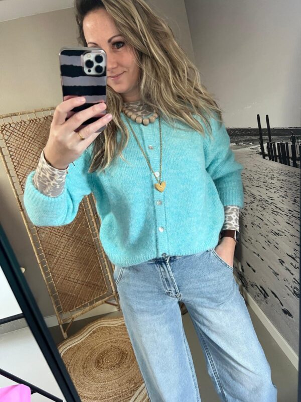 Cardigan/Vest Azzurro - Lichtblauw/IJsblauw