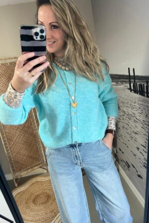 Cardigan/Vest Azzurro - Lichtblauw/IJsblauw