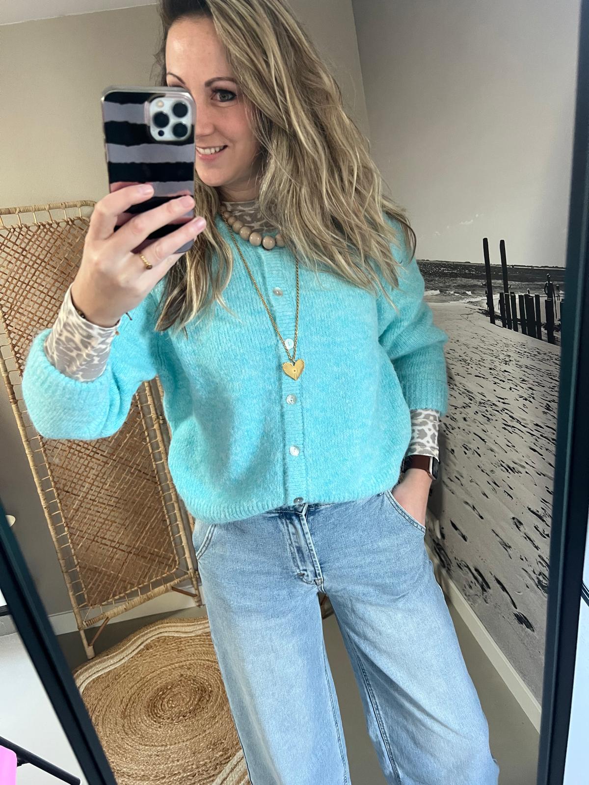 Cardigan/Vest Azzurro - Lichtblauw/IJsblauw