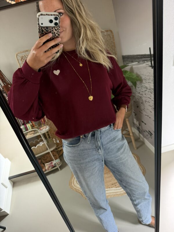 Sweater 'Rue Saint-Honoré - Bruin/Bordeaux/Rood