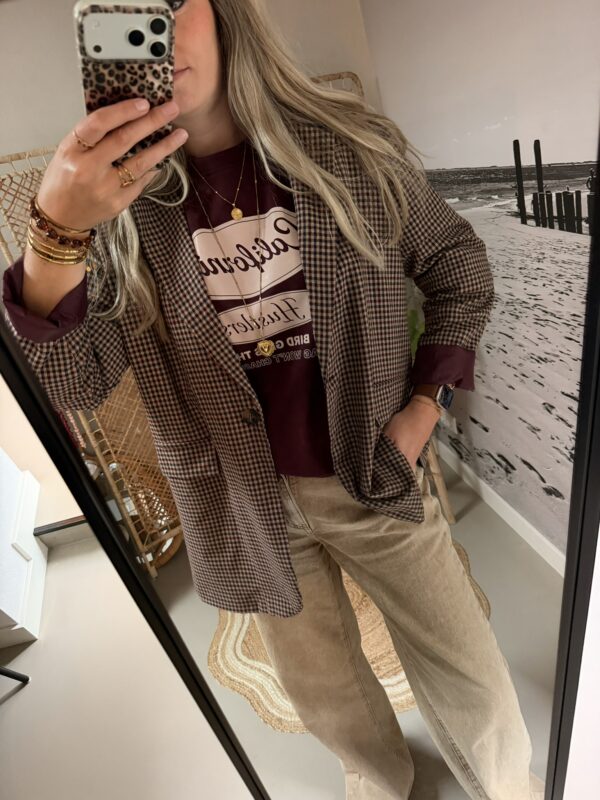 Oversized Blazer Ruitjes - Bordeaux/Blauw