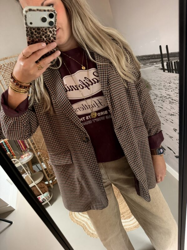 Oversized Blazer Ruitjes - Bordeaux/Blauw