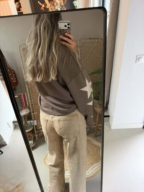 Sweater/Longsleeve ‘Stars’ California – Taupe