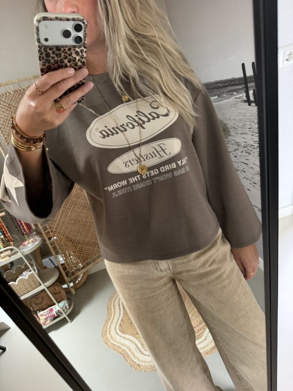 Sweater/Longsleeve ‘Stars’ California – Taupe